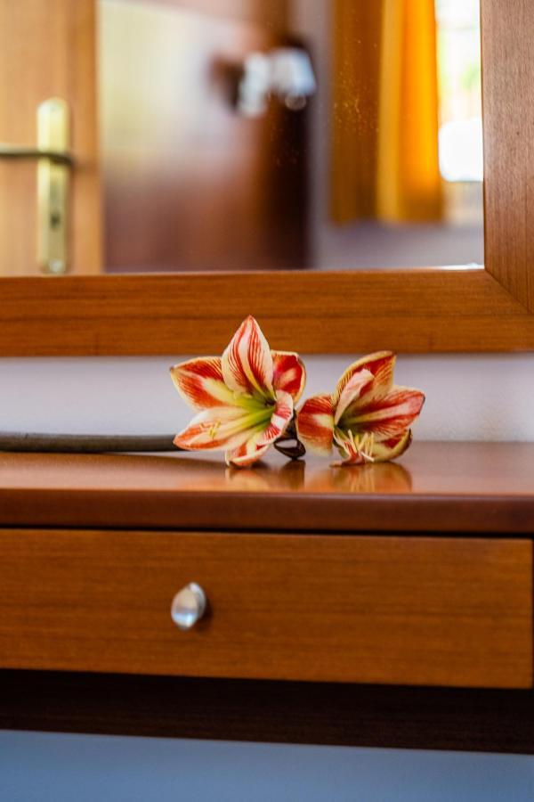 Anna Ageliki Aparthotel Damnoni Ngoại thất bức ảnh